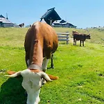 Velika Planina Koca Kekec Stahovica