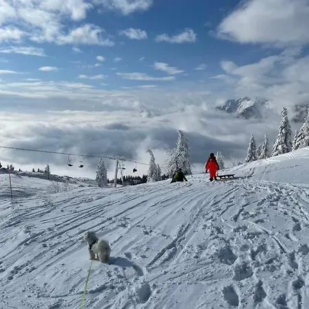 Velika Planina Koca Kekec