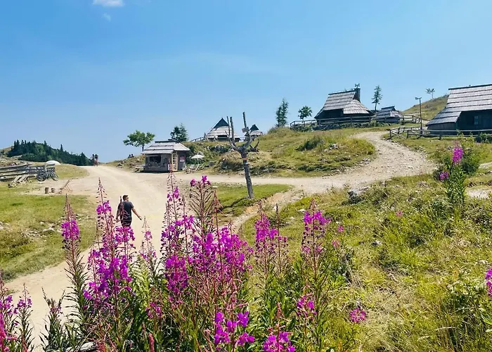 Velika Planina Koca Kekec Domek letniskowy *