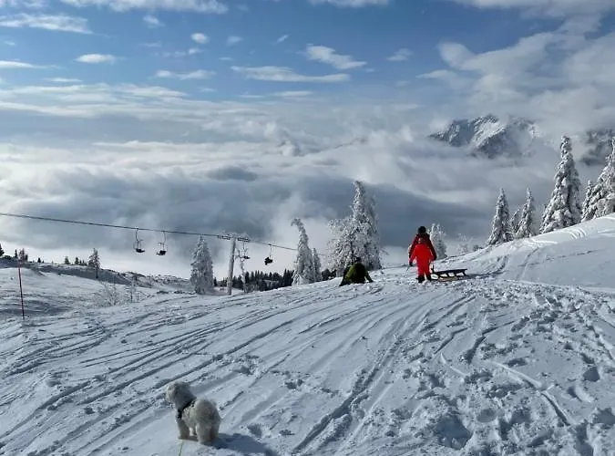 Velika Planina Koca Kekec
